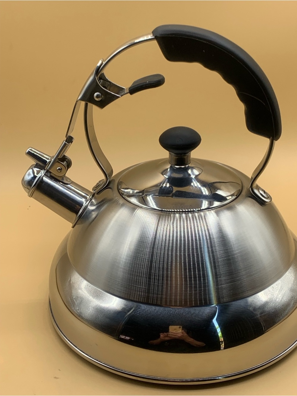 Stainless Steel Whistling Tea Kettle with Black Handle